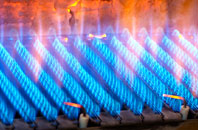 Surlingham gas fired boilers